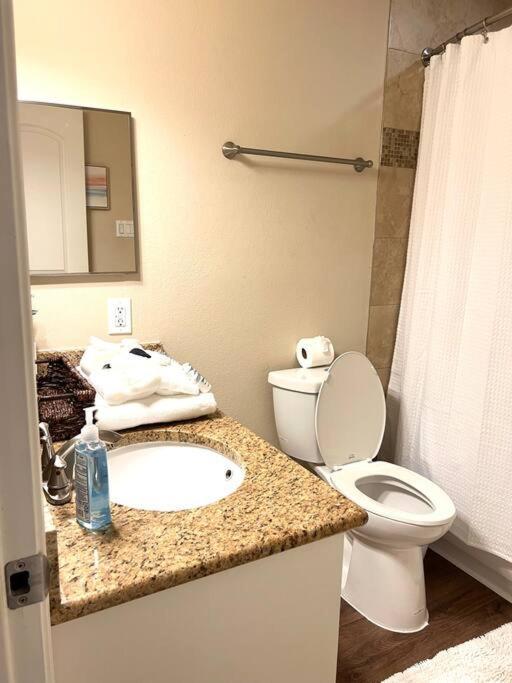 Lovely 2 Bedroom/2 Bath Houston, Heights/Galleria מראה חיצוני תמונה