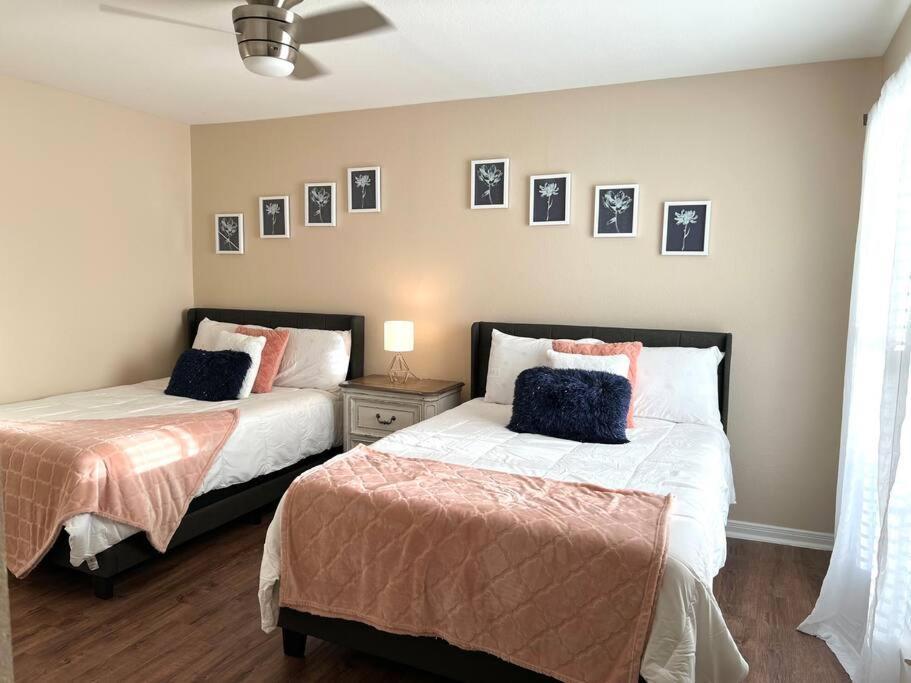 Lovely 2 Bedroom/2 Bath Houston, Heights/Galleria מראה חיצוני תמונה